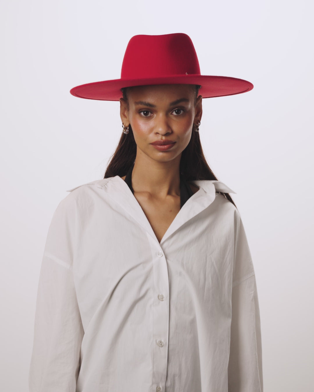 Charger la vidéo : Roy